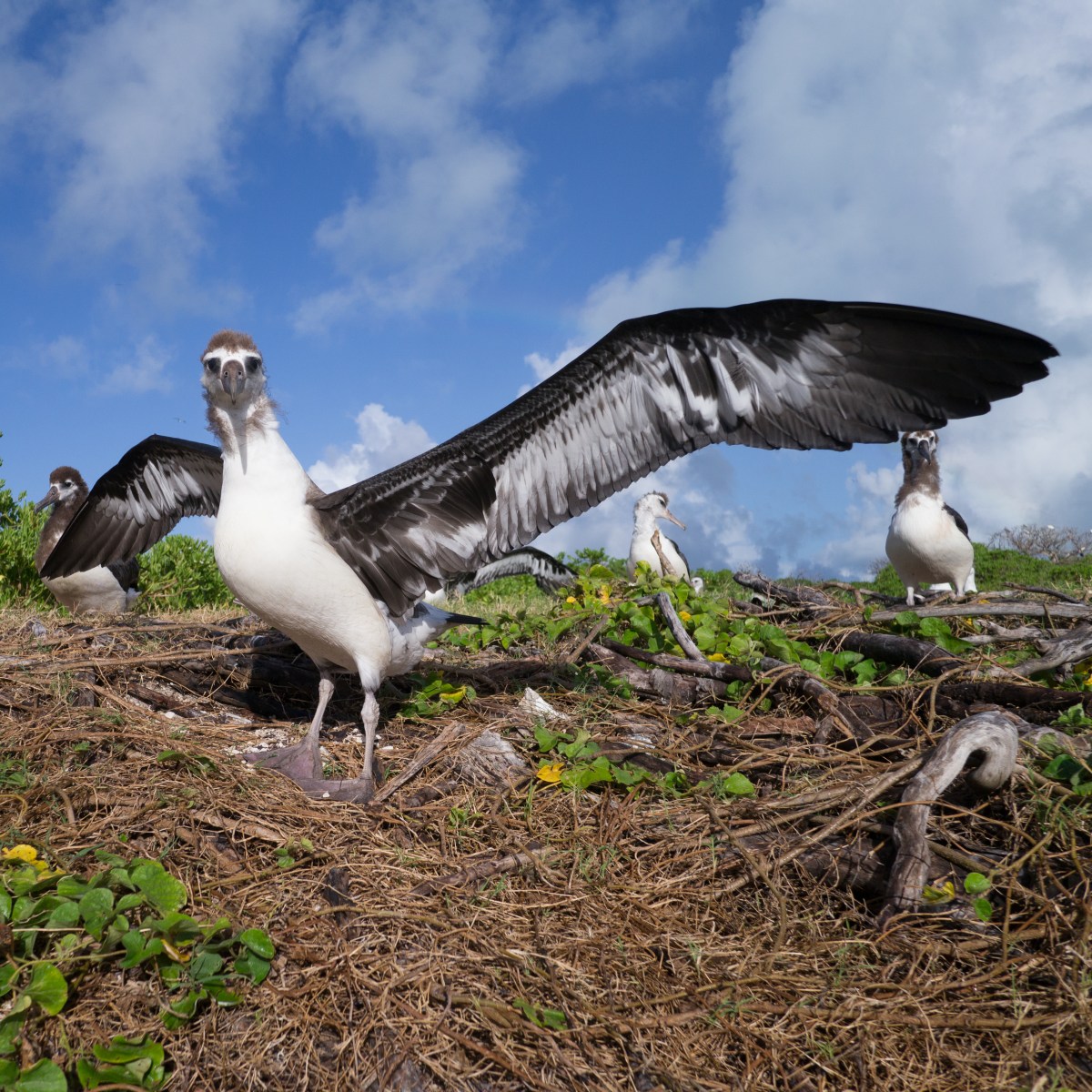 Fundraiser For Publication