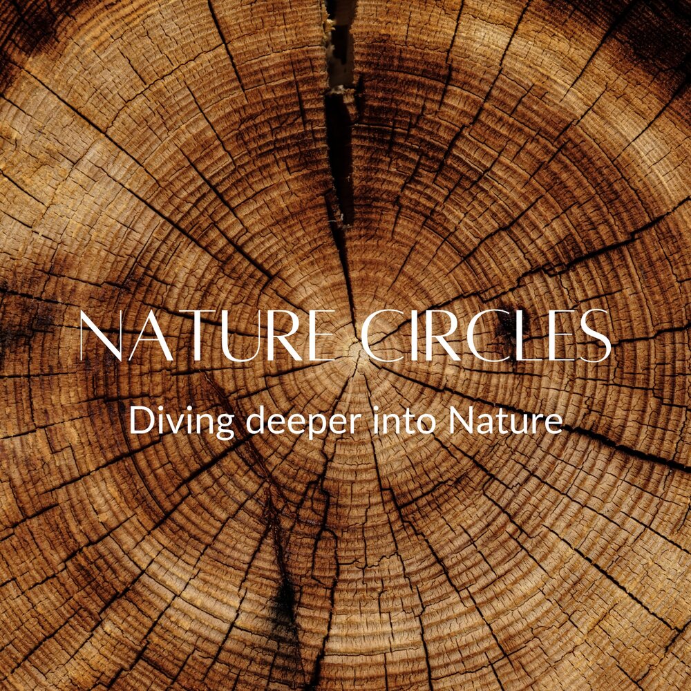 New Conversation with Christopher Le&nbsp;Coq